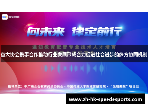 各大协会携手合作推动行业发展形成合力促进社会进步的多方协同机制