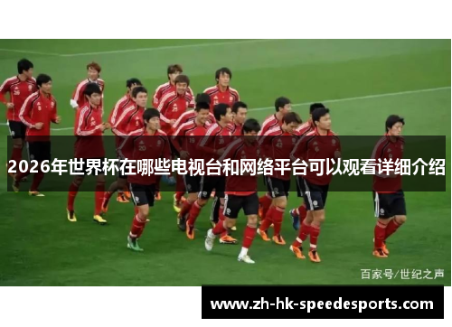 2026年世界杯在哪些电视台和网络平台可以观看详细介绍