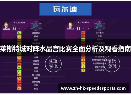 莱斯特城对阵水晶宫比赛全面分析及观看指南
