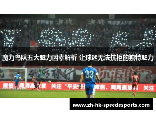 魔力鸟队五大魅力因素解析 让球迷无法抗拒的独特魅力